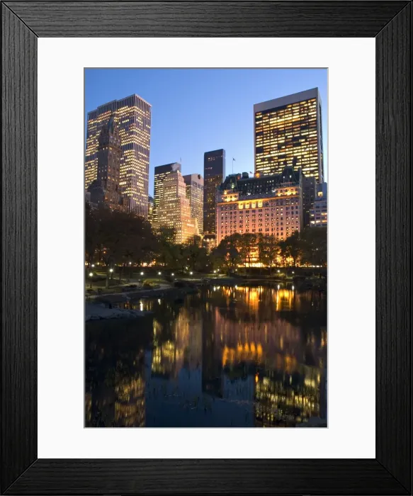 Framed Print : Central Park Framed Print : Central Park