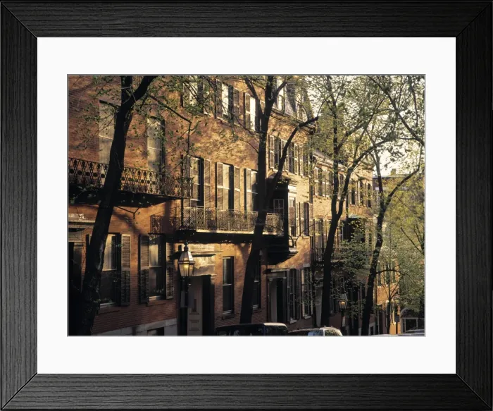 Framed Print : Mt. Vernon St Framed Print : Mt. Vernon St