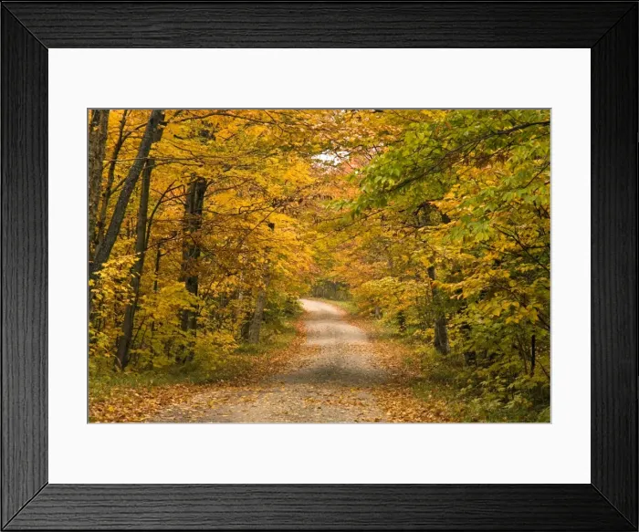 Framed Print : Mt. Greylock reservation Framed Print : Mt. Greylock reservation