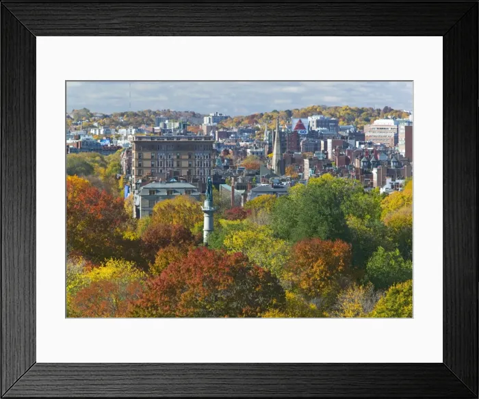 Framed Print : Back Bay & Boston Common, Boston, Massachusetts, USA Framed Print : Back Bay & Boston Common, Boston, Massachusetts, USA