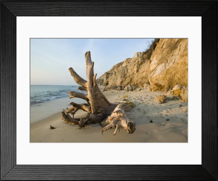 Framed Print : Aquinnah, Gay Head, Marthas Vineyard, Massachusetts, USA Framed Print : Aquinnah, Gay Head, Marthas Vineyard, Massachusetts, USA
