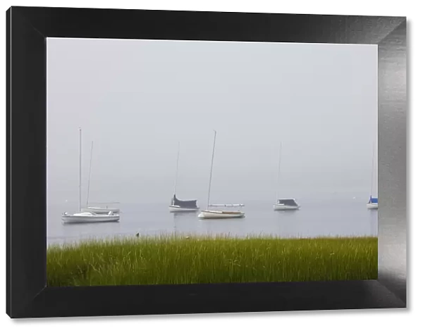 USA, Massachusetts, Cape Ann, Gloucester, Annisquam harbour in Fog