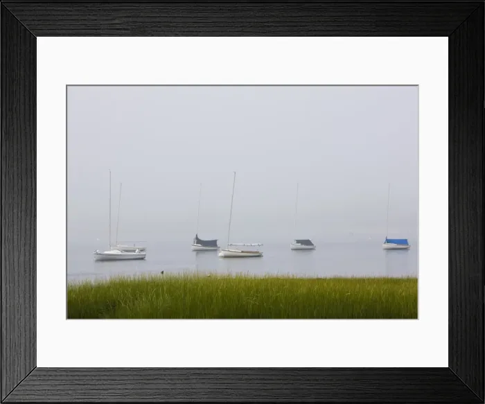 Framed Print : USA, Massachusetts, Cape Ann, Gloucester, Annisquam harbour in Fog Framed Print : USA, Massachusetts, Cape Ann, Gloucester, Annisquam harbour in Fog