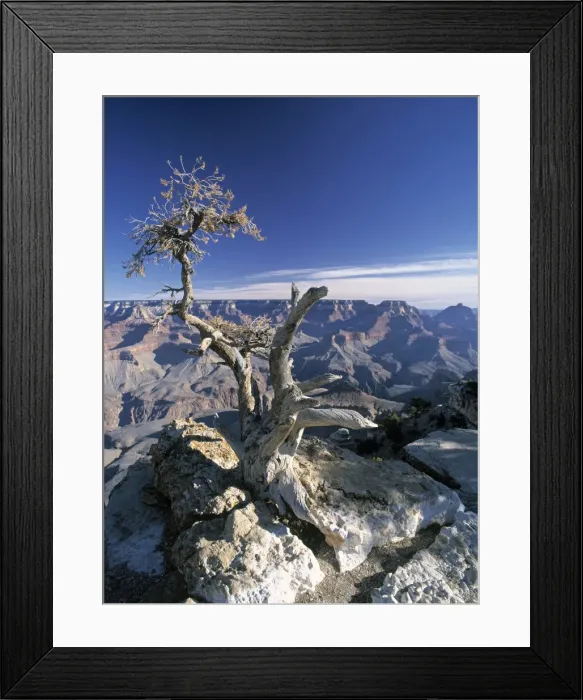 Framed Print : Yaki Point Framed Print : Yaki Point