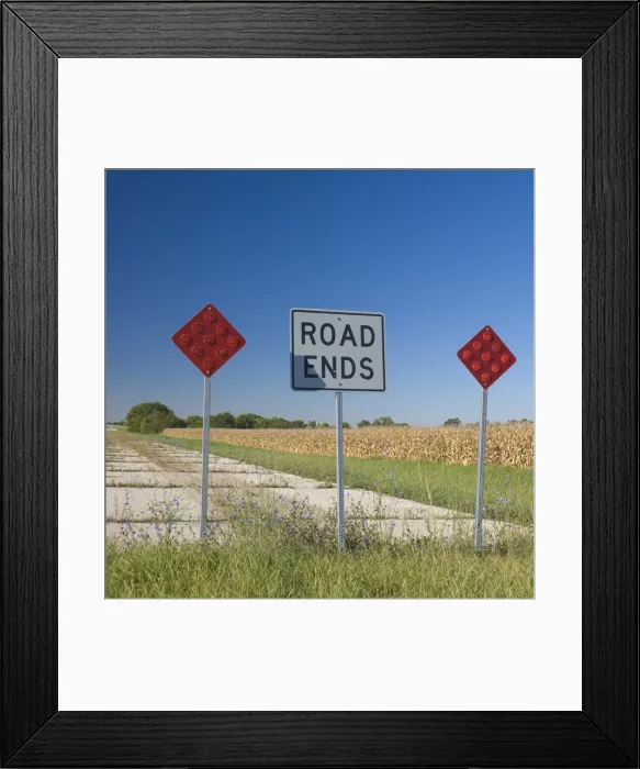 Framed Print : USA, Illinois, old Route 66, Odell, Disused sections of Route 66