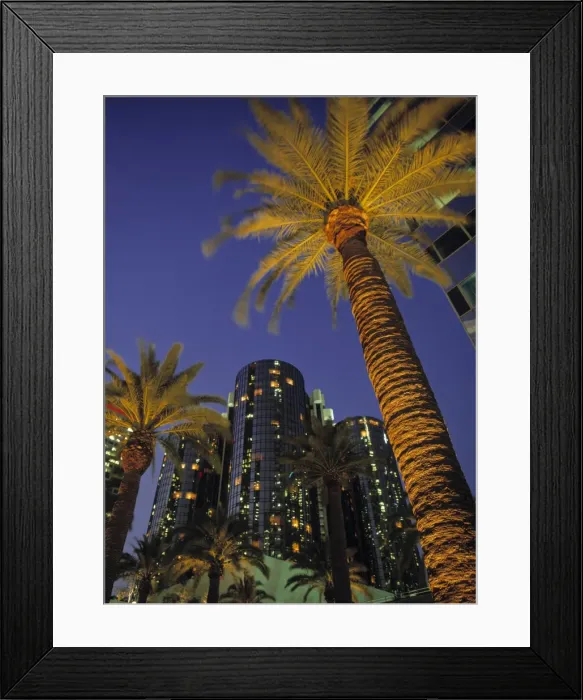 Framed Print : Bonaventure Hotel Framed Print : Bonaventure Hotel