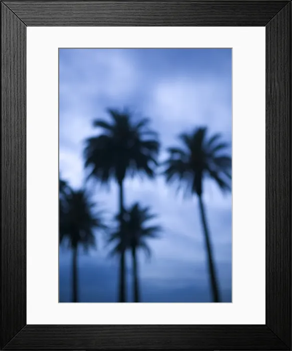 Framed Print : Ocean Avenue, Santa Monica, Los Angeles, California, USA Framed Print : Ocean Avenue, Santa Monica, Los Angeles, California, USA