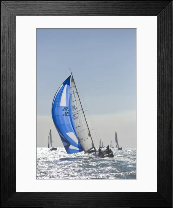 Framed Print : Harvest Moon Regatta, Galveston, Texas, USA Framed Print : Harvest Moon Regatta, Galveston, Texas, USA