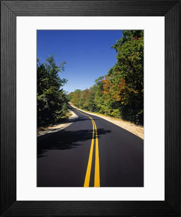 Framed Print : Road in Fall
