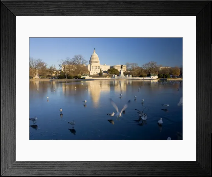 Framed Print : The Capitol Framed Print : The Capitol