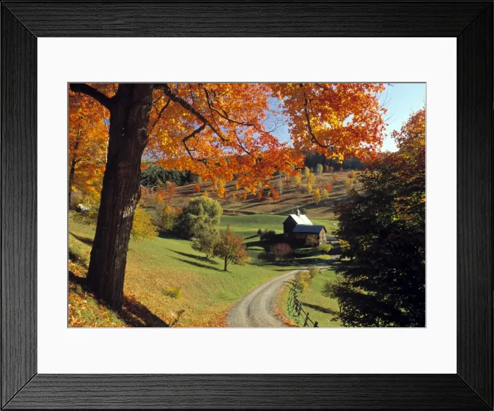 Framed Print : Fall foliage