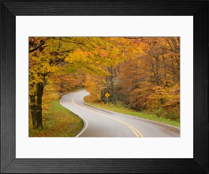 Framed Print : Road in forest Framed Print : Road in forest