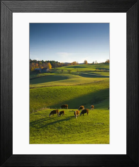 Framed Print : USA, Vermont Framed Print : USA, Vermont