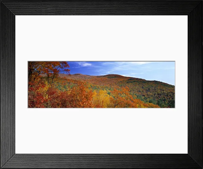 Framed Print : Moultonborough Framed Print : Moultonborough
