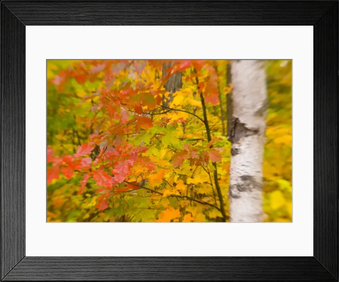 Framed Print : USA, New Hampshire Framed Print : USA, New Hampshire