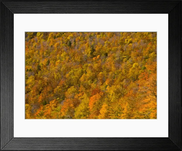 Framed Print : USA New Hampshire Framed Print : USA New Hampshire