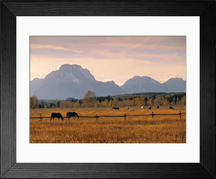 Framed Print : Jackson, Teton Range Framed Print : Jackson, Teton Range