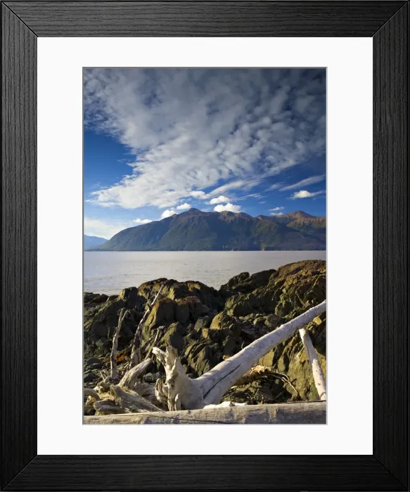 Framed Print : Beluga Point Framed Print : Beluga Point