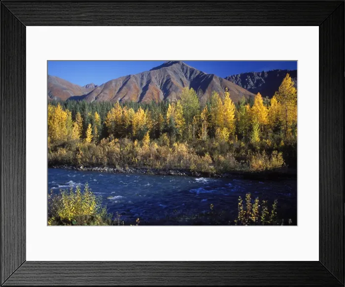 Framed Print : Fall colours