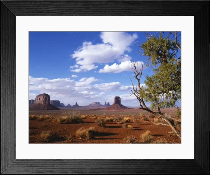 Framed Print : Artists Point Framed Print : Artists Point
