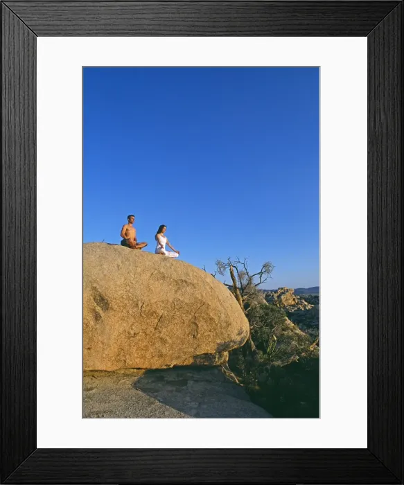 Framed Print : Yoga in the Joshua Tree National Park Framed Print : Yoga in the Joshua Tree National Park