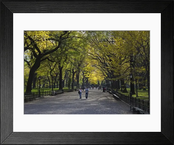 Framed Print : A couple walk through Central Park enjoying the autumn colours