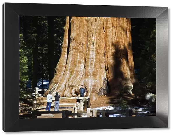 USA, California, Sequoia National Park