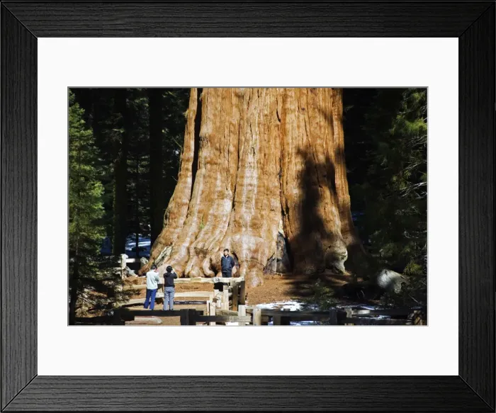 Framed Print : USA, California, Sequoia National Park
