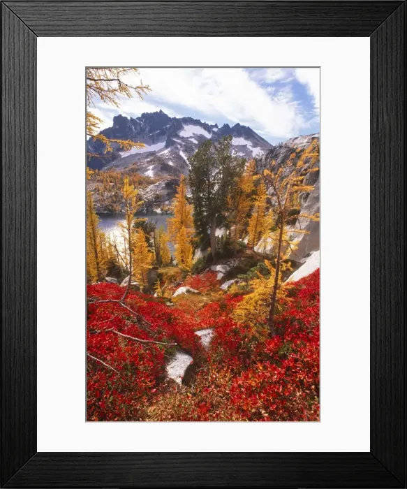 Framed Print : USA, Washington Framed Print : USA, Washington