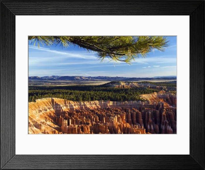 Framed Print : USA, Utah, Bryce Canyon National Park Framed Print : USA, Utah, Bryce Canyon National Park
