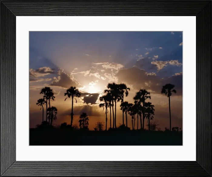 Framed Print : Sunset on the edge of the Ntwetwe saltpan where moklowane Framed Print : Sunset on the edge of the Ntwetwe saltpan where moklowane