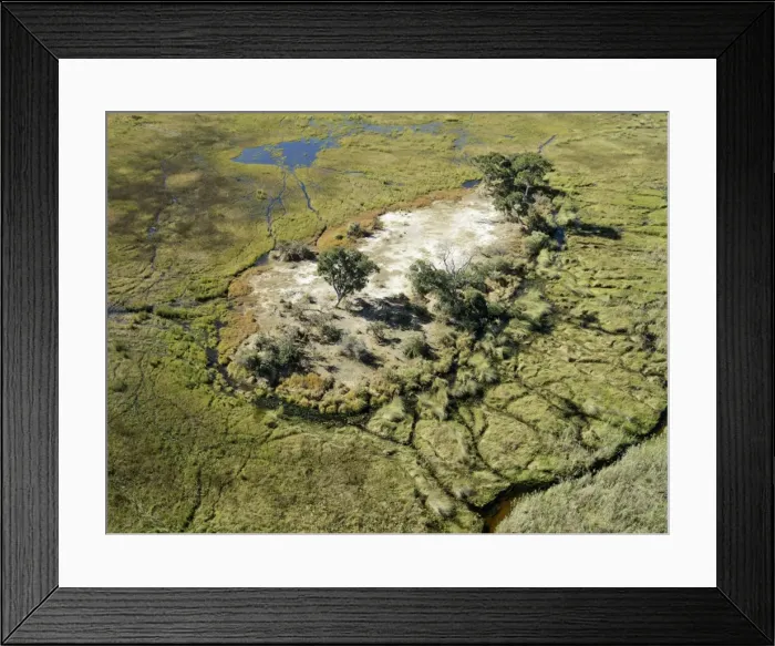 Framed Print : An aerial photograph of the Okavango Delta Framed Print : An aerial photograph of the Okavango Delta