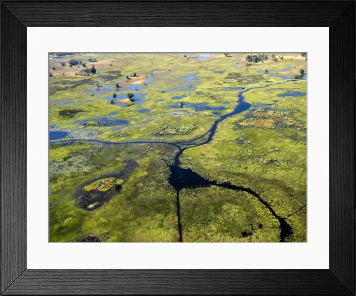 Framed Print : An aerial photograph of the Okavango Delta Framed Print : An aerial photograph of the Okavango Delta