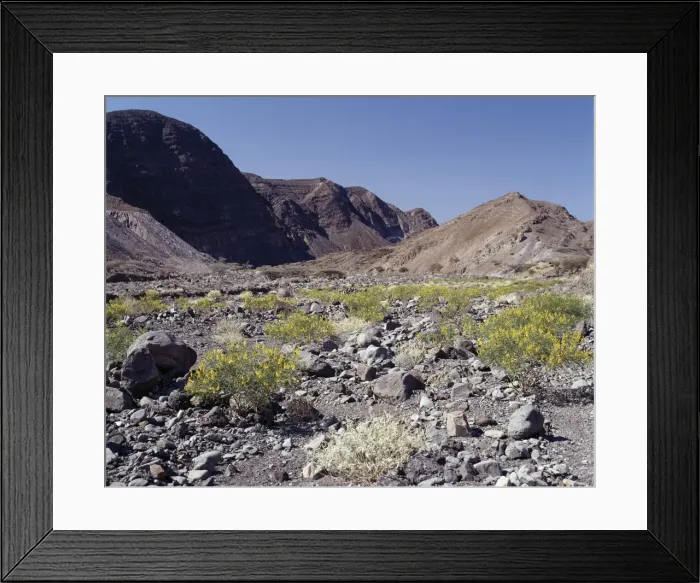 Framed Print : After a rain shower Framed Print : After a rain shower