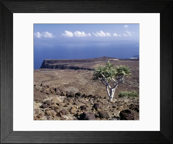Framed Print : On the inhospitable lava-strewn hills surrounding Framed Print : On the inhospitable lava-strewn hills surrounding