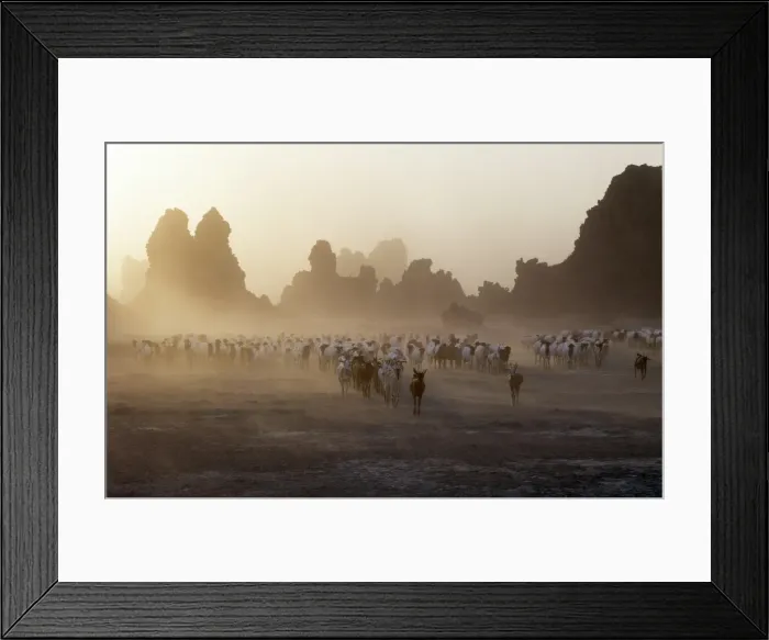 Framed Print : Lake Abbe, on the border of Djibouti and Ethiopia Framed Print : Lake Abbe, on the border of Djibouti and Ethiopia
