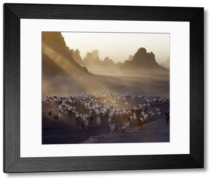 Framed Print : Lake Abbe, on the border of Djibouti and Ethiopia Framed Print : Lake Abbe, on the border of Djibouti and Ethiopia