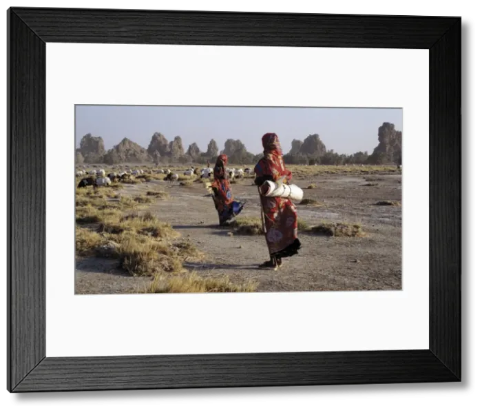 Framed Print : Lake Abbe, on the border of Djibouti and Ethiopia Framed Print : Lake Abbe, on the border of Djibouti and Ethiopia