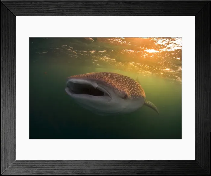 Framed Print : Djibouti, Bay of Tadjourah Framed Print : Djibouti, Bay of Tadjourah