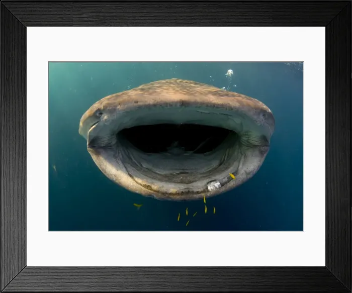 Framed Print : Djibouti, Bay of Tadjourah Framed Print : Djibouti, Bay of Tadjourah