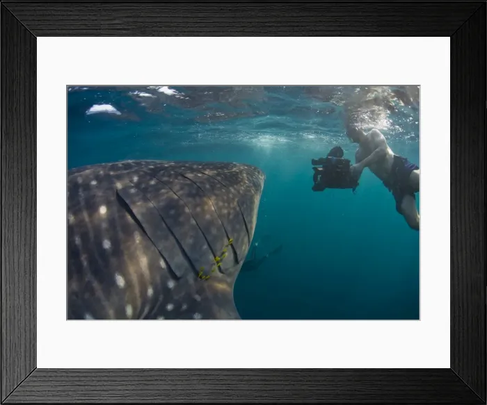 Framed Print : Djibouti, Bay of Tadjourah