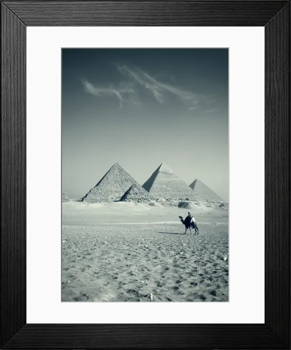 Framed Print : Camel & Giza Pyramids, Giza, Cairo, Egypt Framed Print : Camel & Giza Pyramids, Giza, Cairo, Egypt