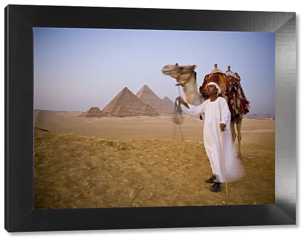 Camel & driver at the Pyramids, Giza, Cairo, Egypt