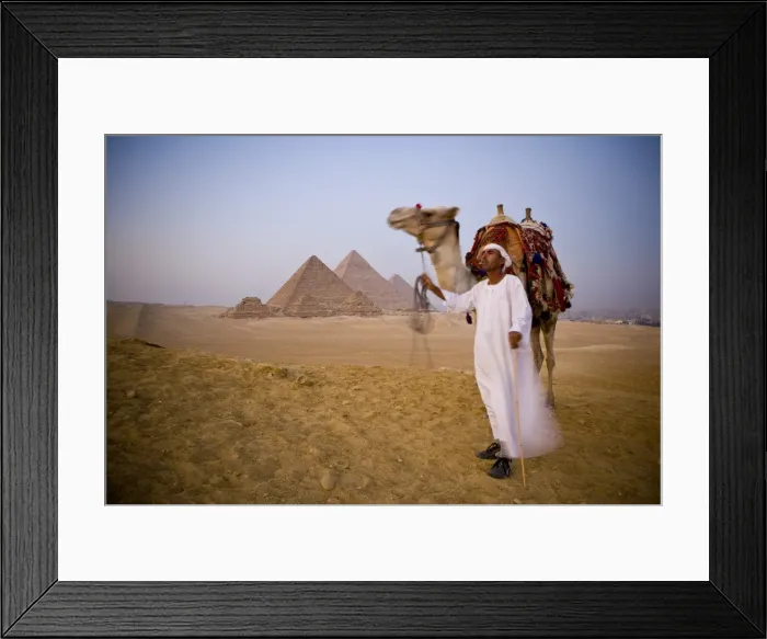 Framed Print : Camel & driver at the Pyramids, Giza, Cairo, Egypt Framed Print : Camel & driver at the Pyramids, Giza, Cairo, Egypt