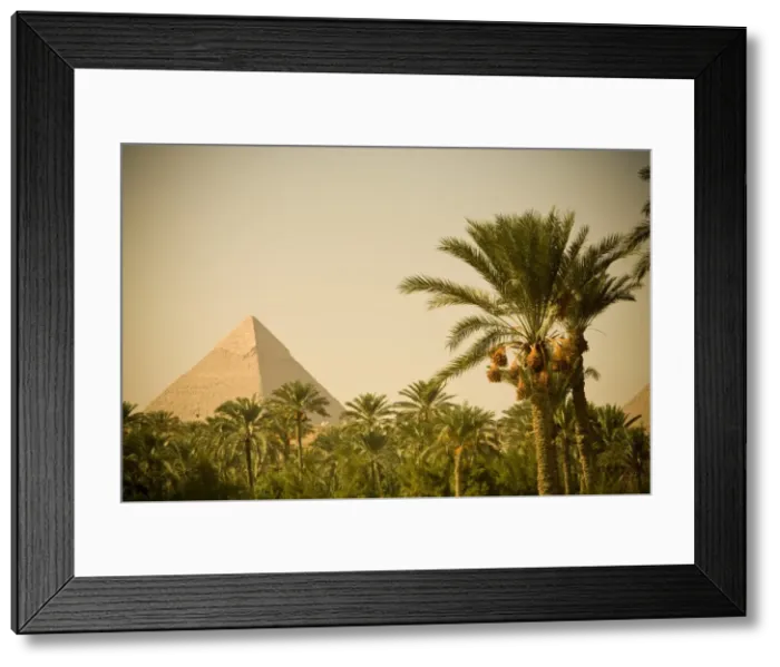 Framed Print : Pyramids at Giza Framed Print : Pyramids at Giza