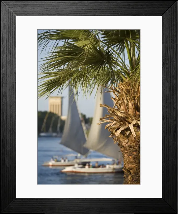 Framed Print : Felucca son River Nile Framed Print : Felucca son River Nile