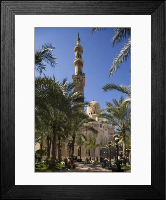 Framed Print : Families relax after Friday prayers in the tree-lined Framed Print : Families relax after Friday prayers in the tree-lined