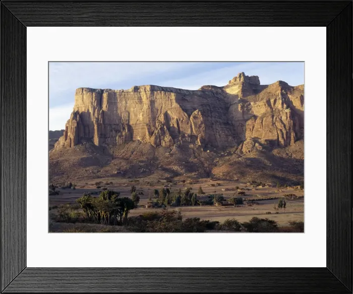 Framed Print : In the golden light of early morning