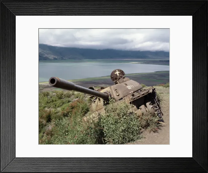 Framed Print : The defeated forces of the former Ethiopian dictator Framed Print : The defeated forces of the former Ethiopian dictator