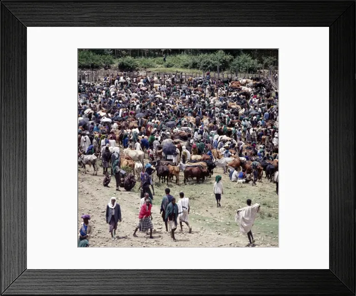 Framed Print : A large gathering of people at Senbetes livestock market Framed Print : A large gathering of people at Senbetes livestock market